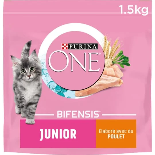 Croquettes pour chat chats Junior poulet