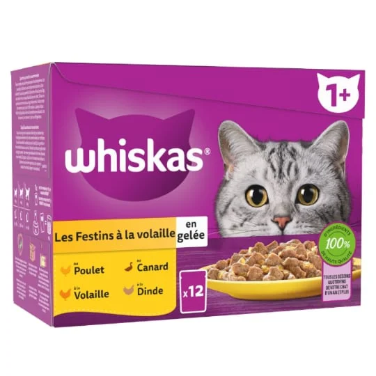 Pâtée pour chat volaille en gélée