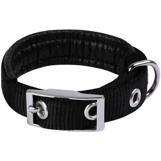 Collier Basic Confort 25mm et 55cm pour Chien Noir