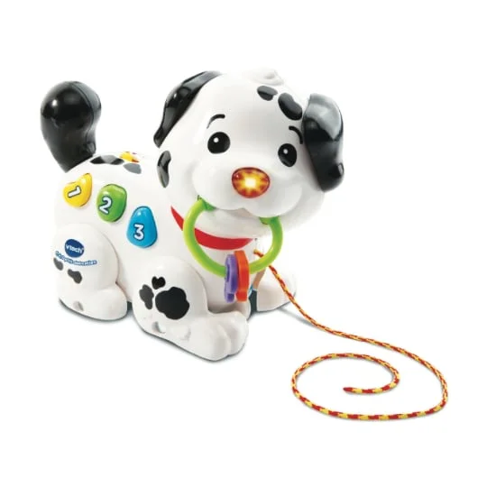 1.2.3 p'tit dalmatien