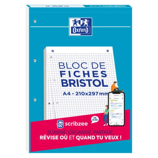 Fiche Bristol2.0 Perforée 30P A4 21x29.7cm 210 g/m² Petits Carreaux