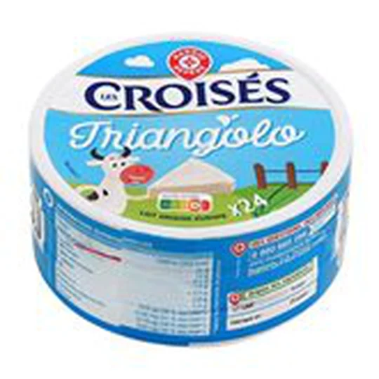 Fromage fondu 20% MG x24