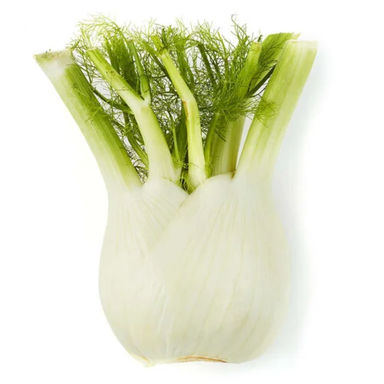 Fenouil Bulbe 1 tête