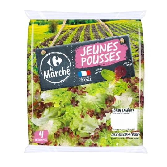 Salade jeunes pousses