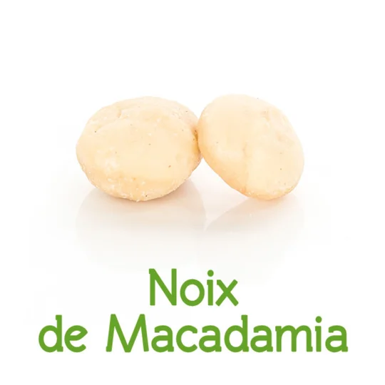 Noix de macadamia BIO en vrac