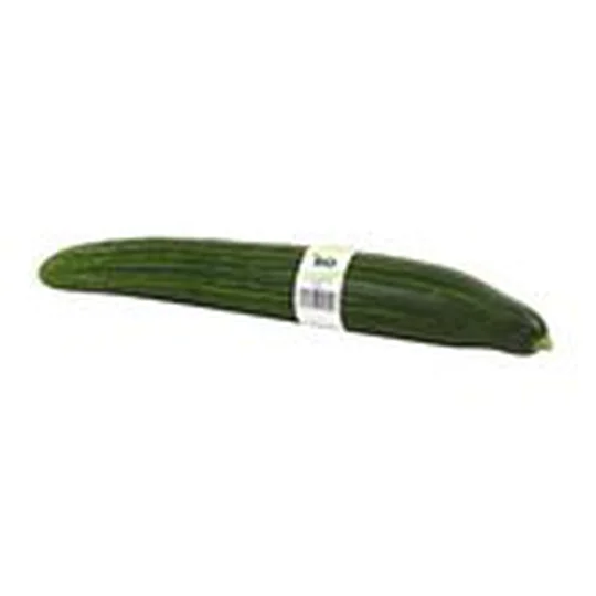 Concombre Bio x1