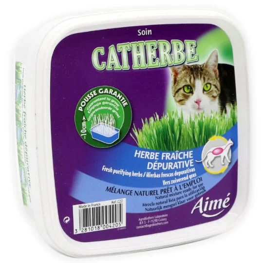 Herbe à chat dépurative
