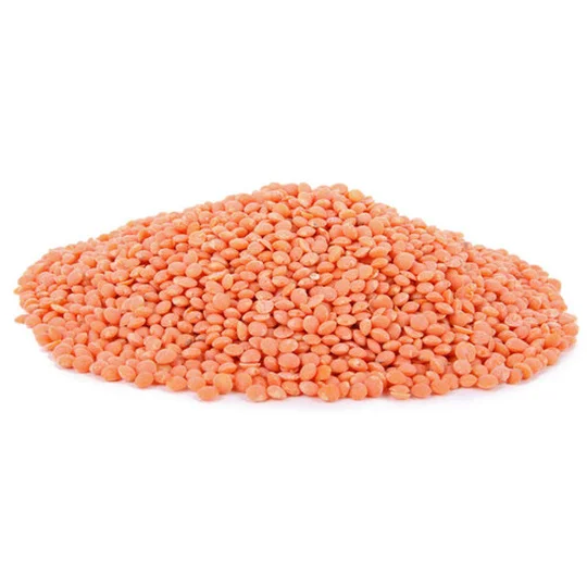 Lentilles Corail