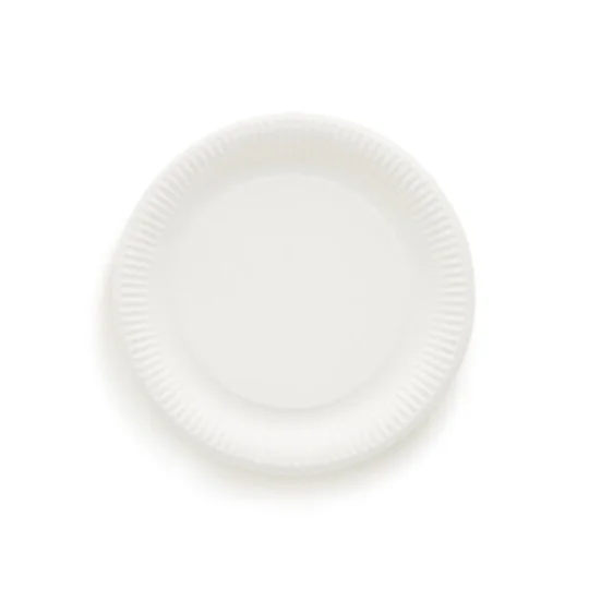12 assiettes en carton, blanc, 29cm