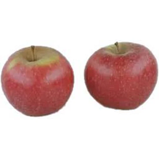 Pomme nina