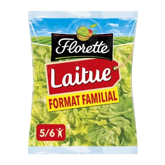Salade laitue