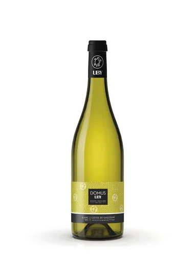 Vin Côtes de Gascogne blanc Domus IGP