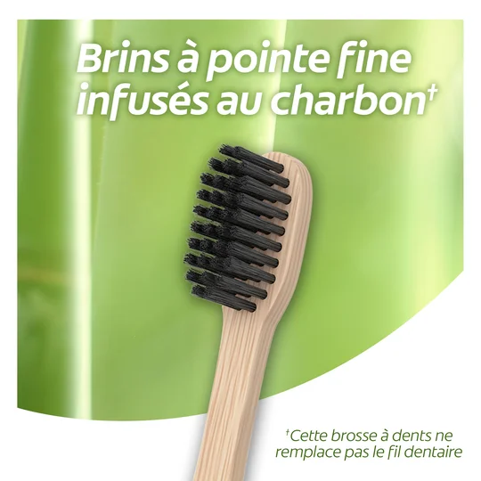 Brosse à dents bambou moils infusés au charbon souple