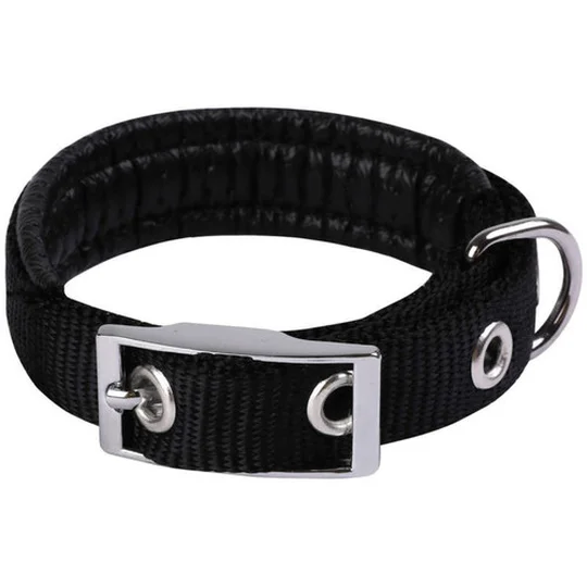 Collier Basic Confort pour Chien 25mm - 65cm, Noir