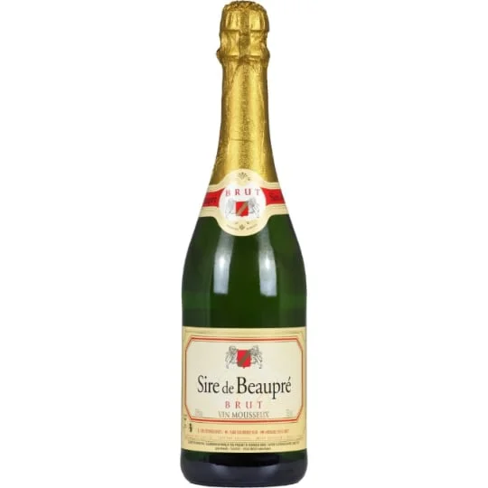 Vin pétillant brut