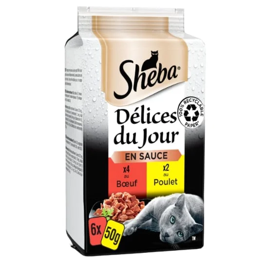 Pâtée pour chat aux viandes