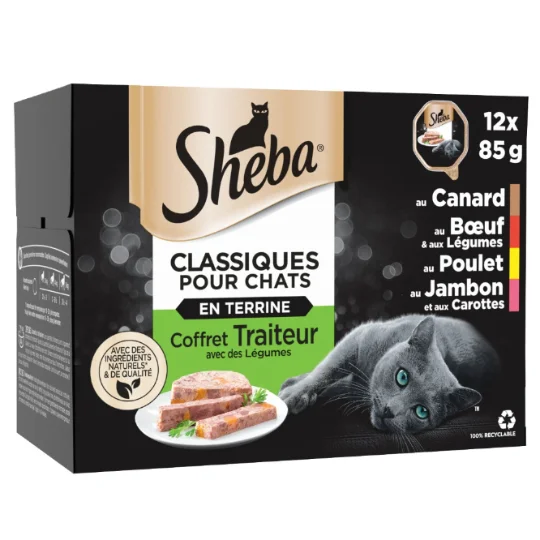 Pâtée pour chat viandes