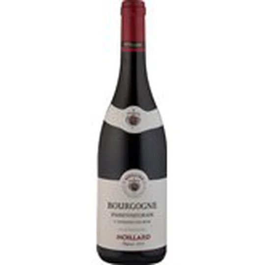 AOP Bourgogne Passetoutgrain Anémone des bois