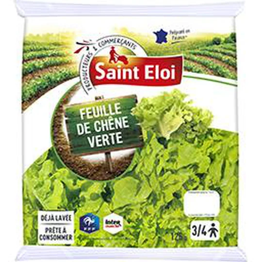 Feuille de chêne verte prête à consommer