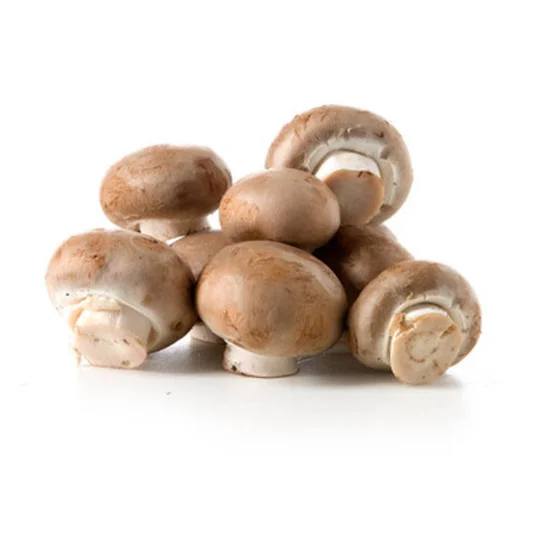 Champignon blond Bio