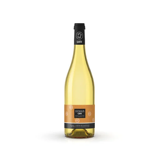 Vin Côtes de Gascogne Domus by Blanc Gros Manseng IGP