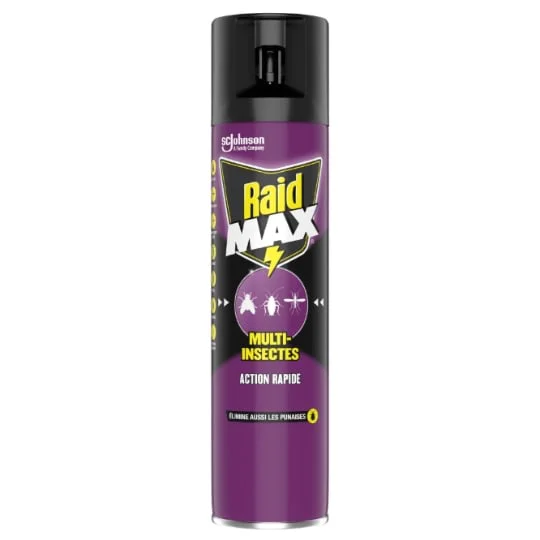Insecticide Aérosol Multi-Insectes