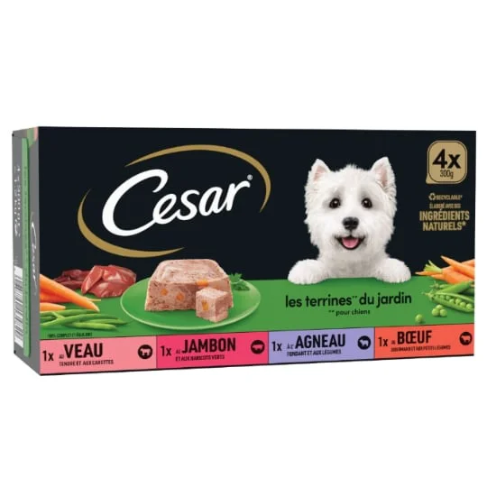 Pâtée pour chien aux légumes