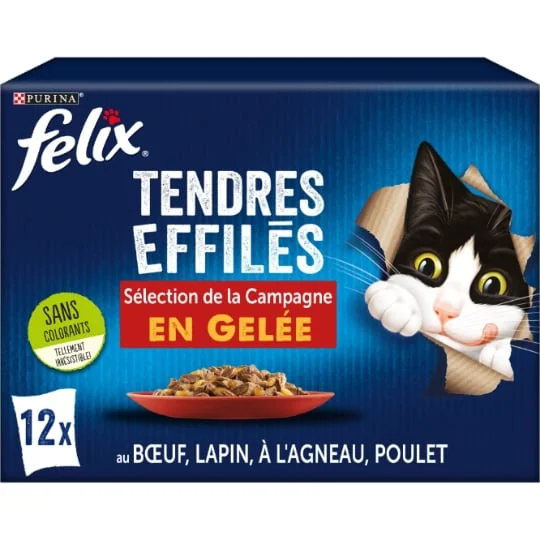 Pâtée pour chat pour adulte tendres effilés en gelée