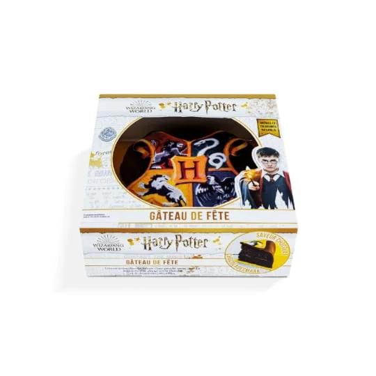 Gâteau 3D Harry Potter