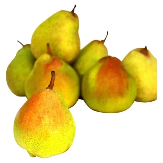 Poire Guyot vrac Bio Guyot