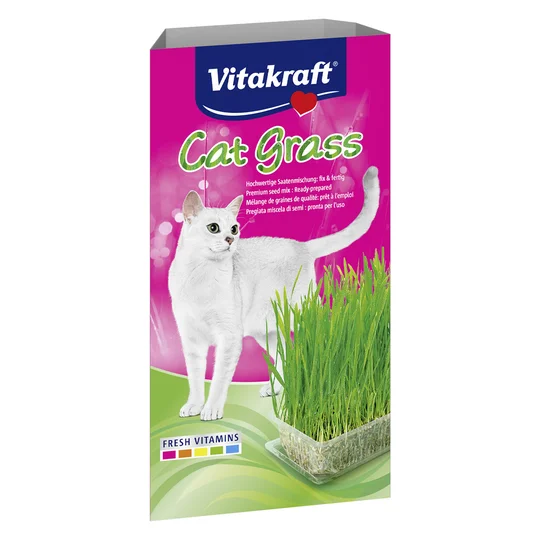 Herbe à Chat