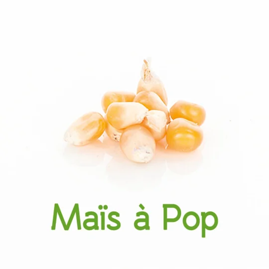 Maïs à pop BIO en vrac
