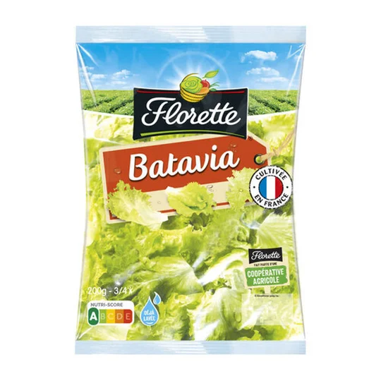 Batavia