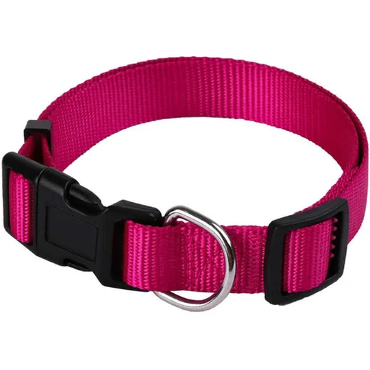 Collier Basic pour Chien 20mm 39/60cm Fuschia