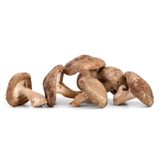 Champignons Shiitake Bio
