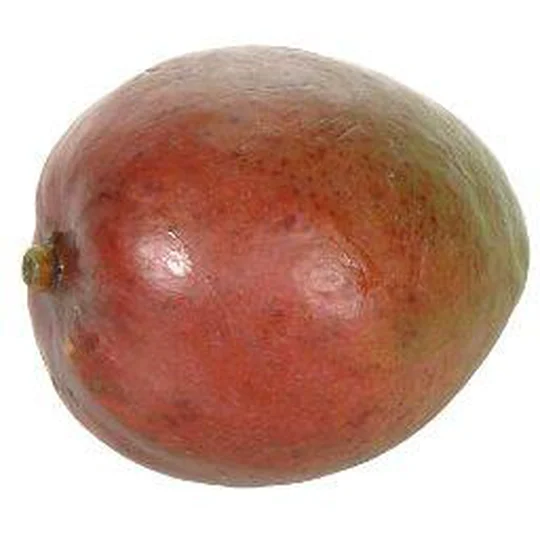 Mangue affinee