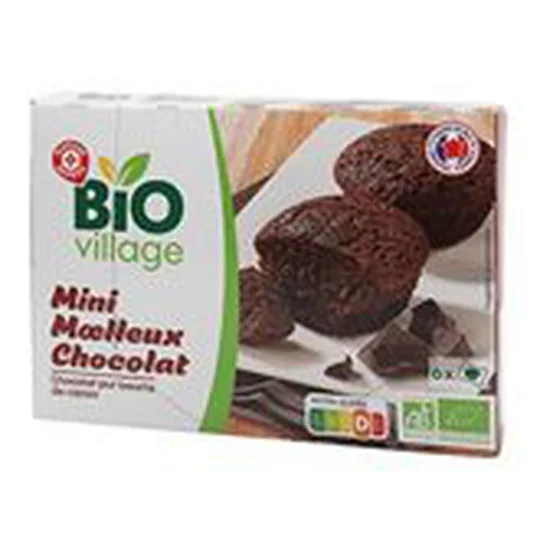 Moelleux chocolat Mini Bio - x6