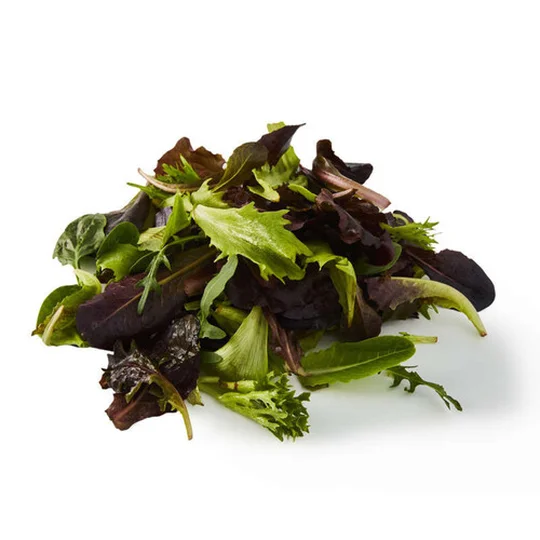 Mesclun Jeunes Pousses