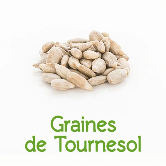 Graines de tournesol BIO en vrac