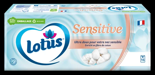 Mouchoirs Etuis Blanc