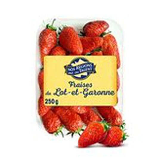 Fraise Gariguette Lot & Garonne