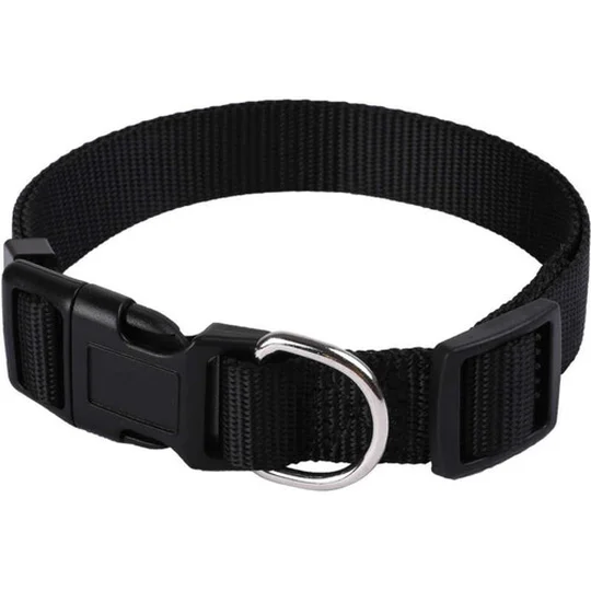 Collier Basic 20mm et 39/60cm pour Chien Noir