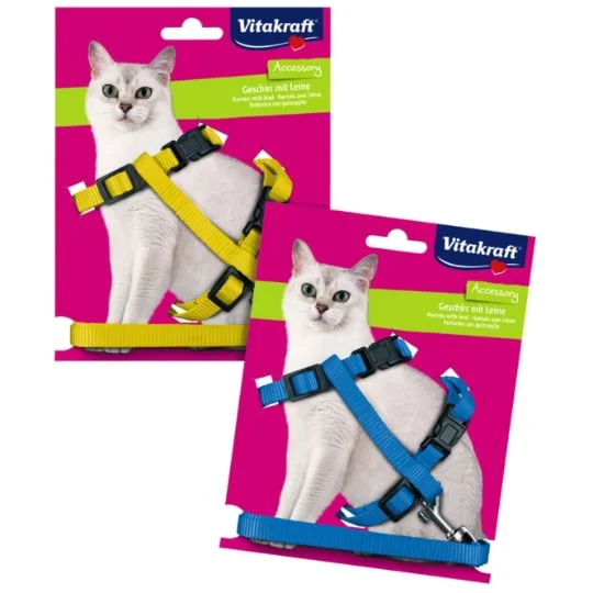 Harnais pour chat laisse