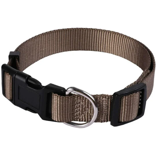 Collier Basic pour Chien 40mm 45/72cm, Taupe
