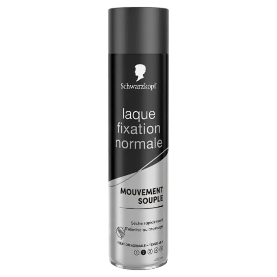Laque Fixation Normale Mouvement Souple