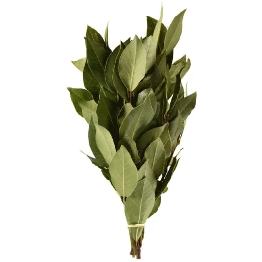 Laurier frais
