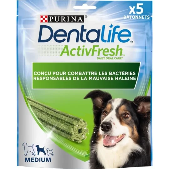 Stick pour chien hygiène bucco dentaire
