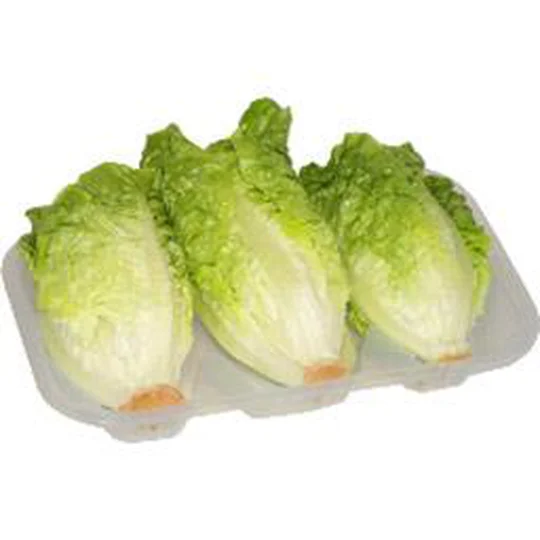 Salade sucrine
