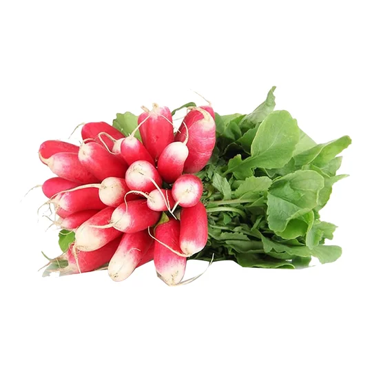 Radis roses