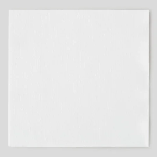 20 serviettes, blanc, 40x40cm